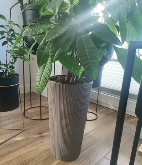 Květináč LAMELA ECO JUMPER šedý